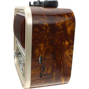 Радио RX-730D Golone, бежевый