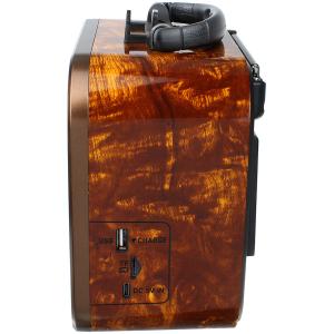 Радио RX-740SD Golone, microSD, SUB, bluetooth, acc, солнечная батарея, коричневое