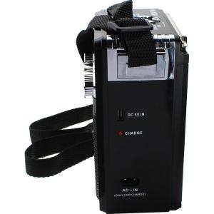 Радио XB-181BT USB/microSD/bluetooch Waxiba, фонарик, черное