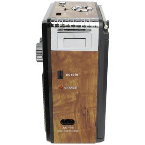 Радио XB-181BT USB/microSD/bluetooch Waxiba, фонарик, коричневое