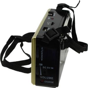 Радио XB-322URT USB/SD/microSD Waxiba аккумулятор батарейки фонарик, gold