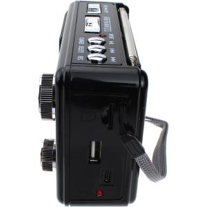 Радио XB-895REC Waxiba USB/SD/microSD фонарик, черное