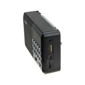 Радиоприемник Palm Perfeo USB/microSD аккумулятор, черный