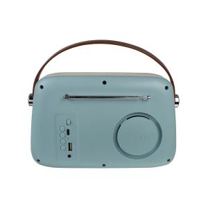 Радиоприемник РП-338 БЗРП Fresh, голубой