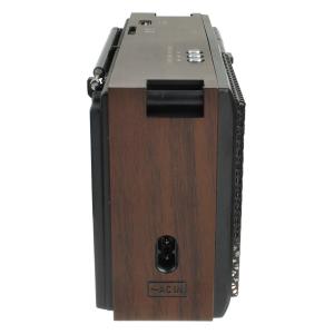 Радиоприемник RX-303UAR Golone, SD/USB, acc, коричневое