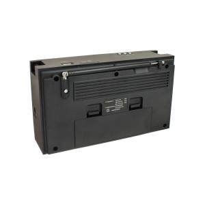 Радиоприемник RX-303UAR Golone, SD/USB, acc, коричневое