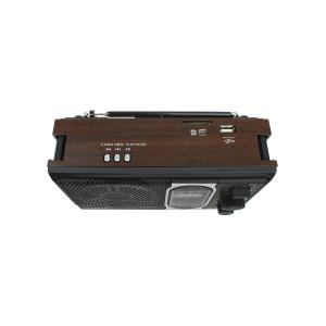 Радиоприемник RX-303UAR Golone, SD/USB, acc, коричневое