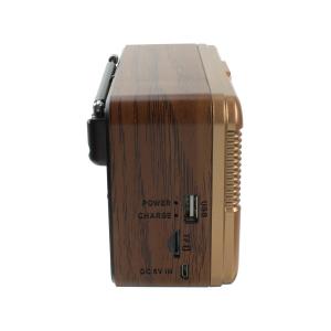 Радиоприемник RX-6060BT Golone USB/SD/microSD, ACC