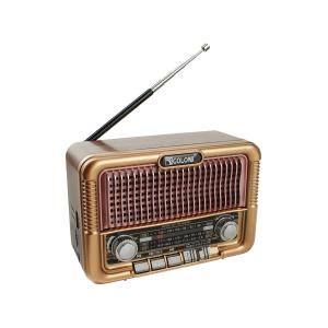 Радиоприемник RX-6060BT Golone USB/SD/microSD, ACC