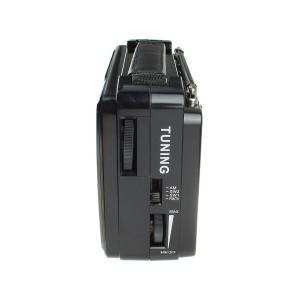 Радиоприемник RX-606AC Golon 220V