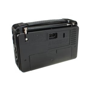 Радиоприемник RX-606AC Golon 220V