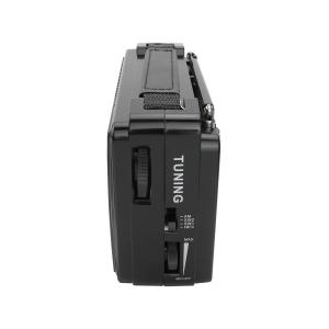 Радиоприемник RX-608ACW Golon 220V