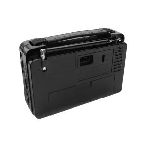 Радиоприемник RX-608ACW Golon 220V