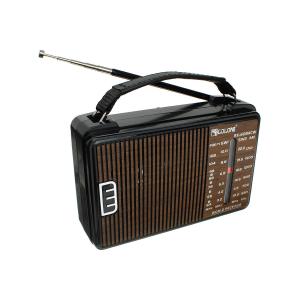 Радиоприемник RX-608ACW Golon 220V