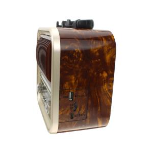 Радиоприемник RX-730D Golone, бежевый