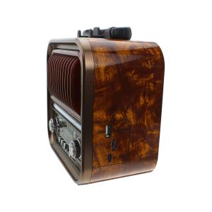 Радиоприемник RX-730D Golone, коричневый