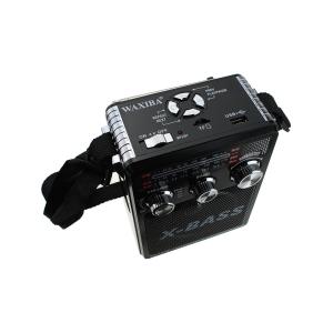 Радиоприемник XB-181BT USB/microSD/bluetooch Waxiba, фонарик, черное