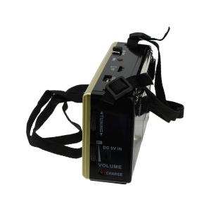 Радиоприемник XB-322URT USB/microSD Waxiba аккумулятор батарейки фонарик, gold