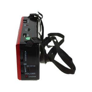 Радиоприемник XB-322URT USB/SD/microSD Waxiba аккумулятор батарейки фонарик, красное