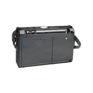 Радиоприемник XB-701BT USB/microSD/bluetooth Waxiba аккумулятор батарейки фонарик, gold