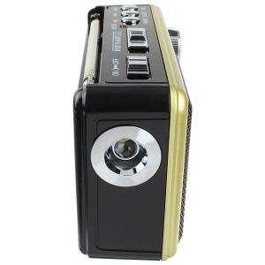 Радиоприемник XB-895REC Waxiba USB/SD/microSD фонарик, gold
