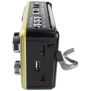Радиоприемник XB-895REC Waxiba USB/SD/microSD фонарик, gold