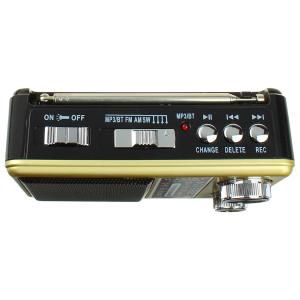 Радиоприемник XB-895REC Waxiba USB/SD/microSD фонарик, gold