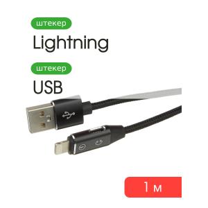 Шнур на наушники и зарядку для Iphone Lightning 1м 2,4А