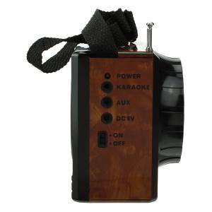 Сигнал VIKEND Fisher Радиоприемник/фонарь 9свд, 220V, USB, SD