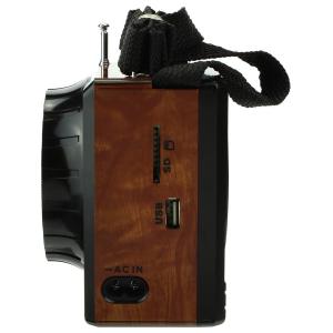 Сигнал VIKEND Fisher Радиоприемник/фонарь 9свд, 220V, USB, SD