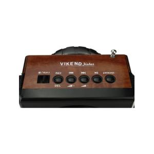 Сигнал VIKEND Fisher Радиоприемник/фонарь 9свд, 220V, USB, SD