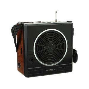 Сигнал VIKEND Fisher Радиоприемник/фонарь 9свд, 220V, USB, SD