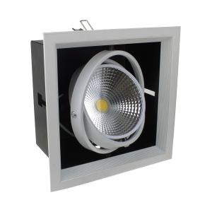 Светильник карданный 1свд 30W 220V Foton FL-LED Grille-111-1, светодиодный