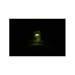 Светодиод 5мм, цвет зеленый, яркий 