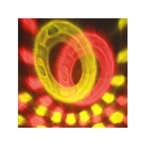 Световое шоу + МР3, USB, сфера, 220В, пульт