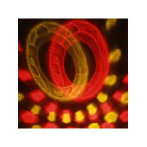 Световое шоу + МР3, USB, сфера, 220В, пульт