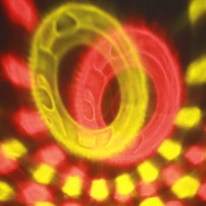 Световое шоу + МР3, USB, сфера, 220В, пульт